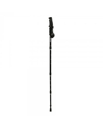 BASTON DE TREKKING BBD 1.0