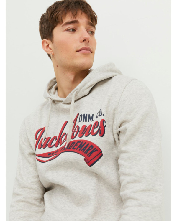 SUDADERA JACK AND JONES JJELOGO SWEAT HOOD 2 COL 23/24 NOOS