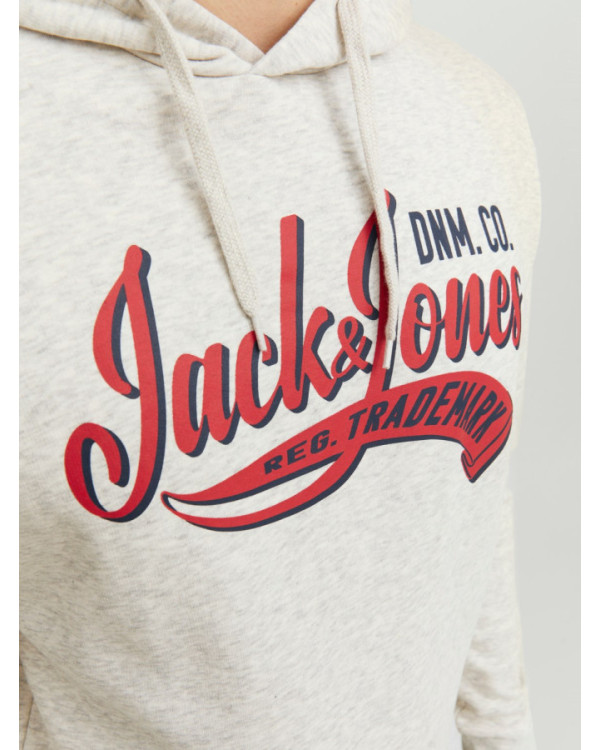 SUDADERA JACK AND JONES JJELOGO SWEAT HOOD 2 COL 23/24 NOOS